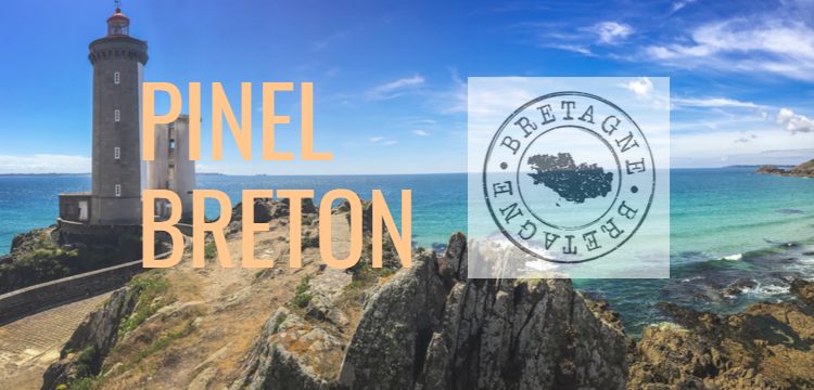 investir-pinel breton-iselection